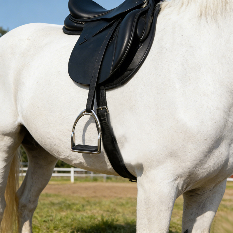 Pair of Plated Horse Stirrups, - Lunge Line Horse recensie en prijs