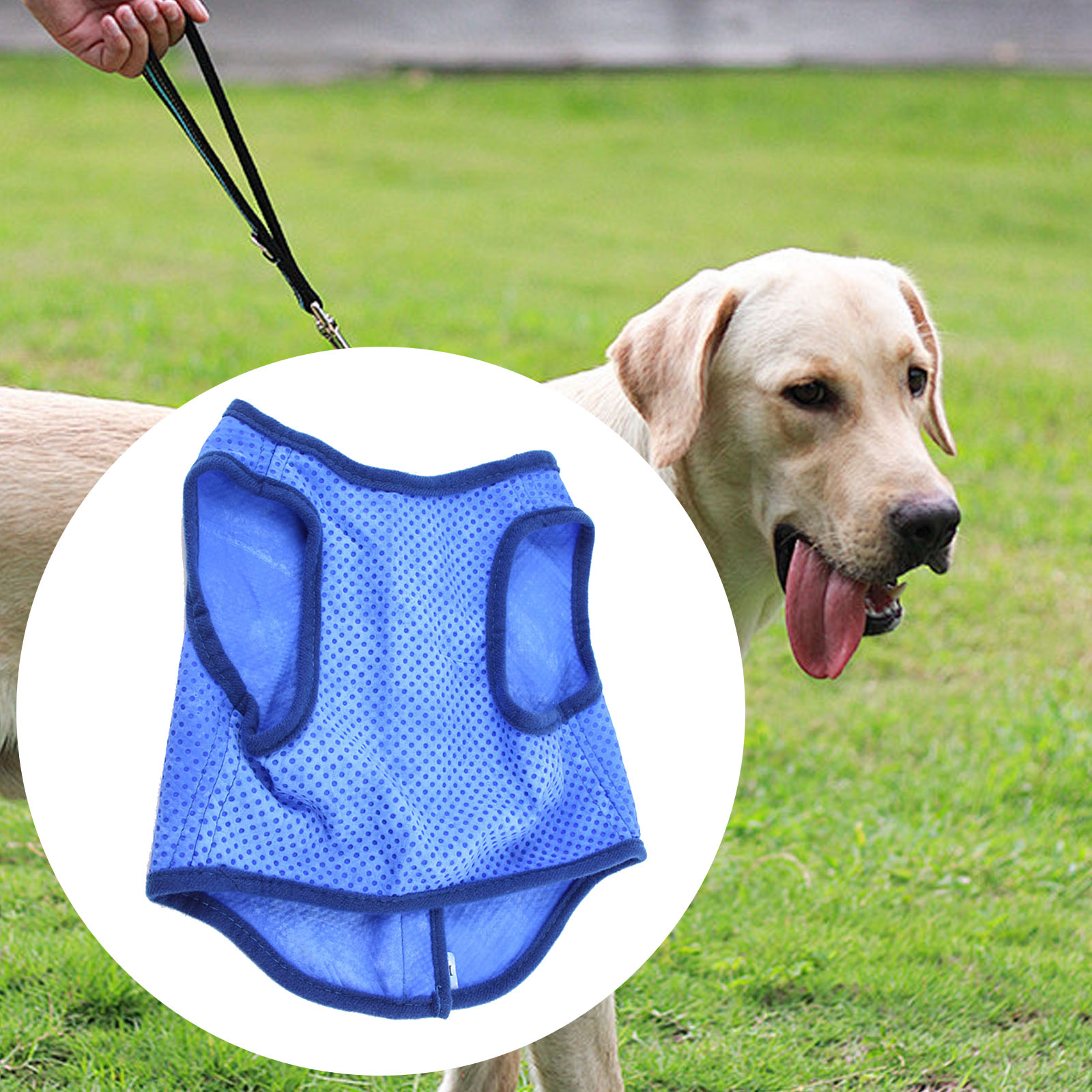Dog Cooling Vest Breathable Su - Outdoor Sport Coat recensie en prijs