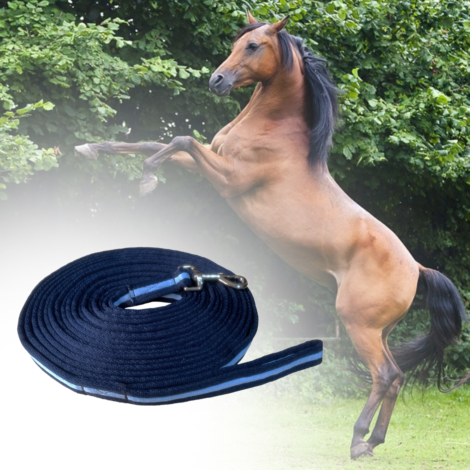 8m Horse Lead Rope Lunge Line  - Lunge Line Horse recensie en prijs