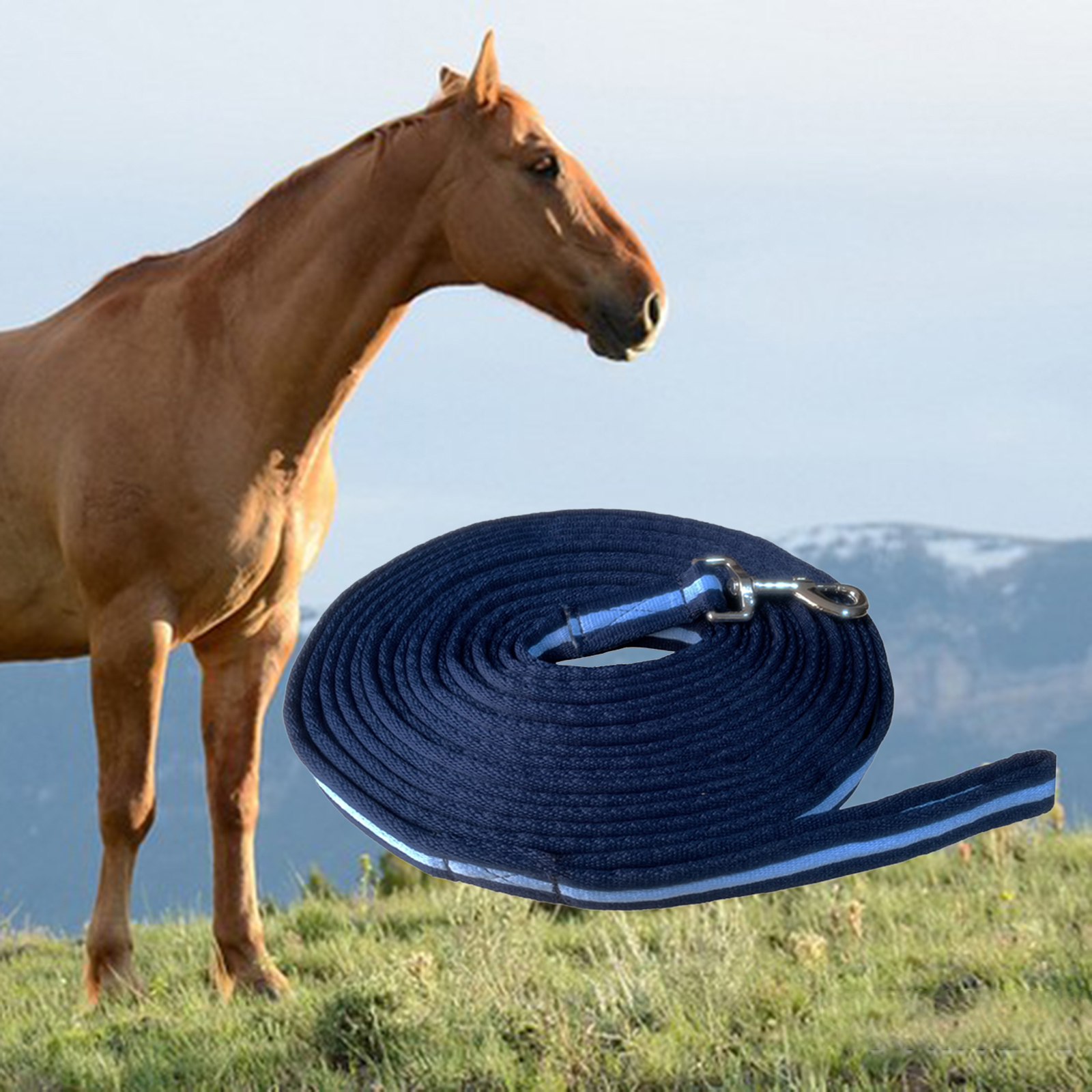 8m Horse Lead Rope Lunge Line  - Lunge Line Horse recensie en prijs